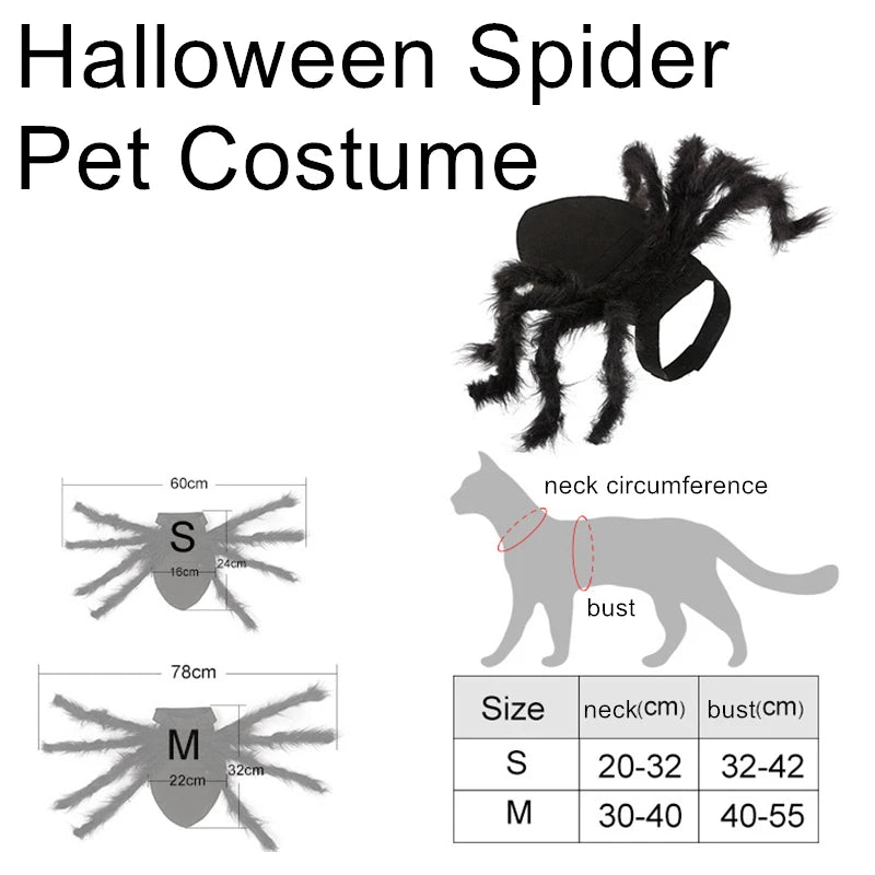 Festive Small Pet Spider Halloween Costume