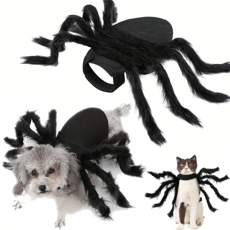 Festive Small Pet Spider Halloween Costume