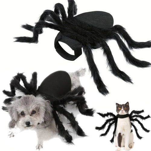 Festive Small Pet Spider Halloween Costume