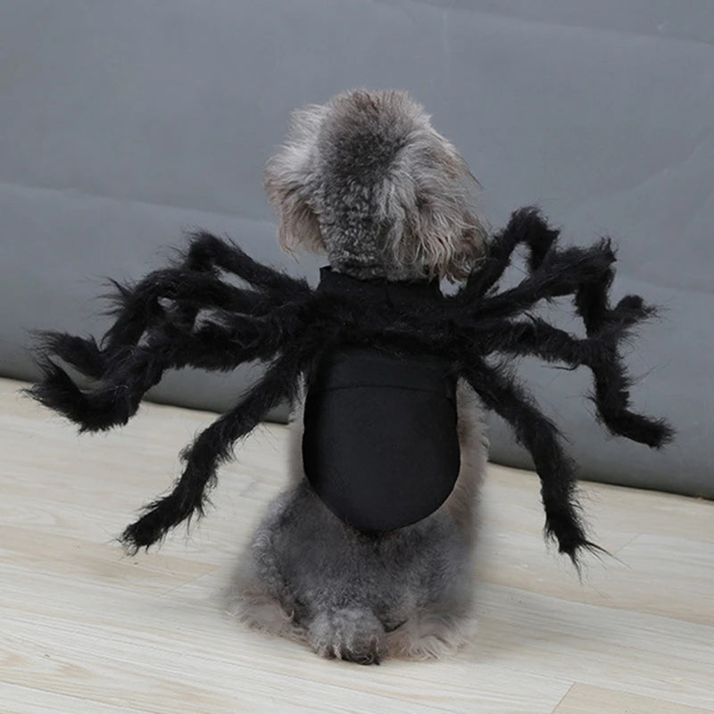 Festive Small Pet Spider Halloween Costume