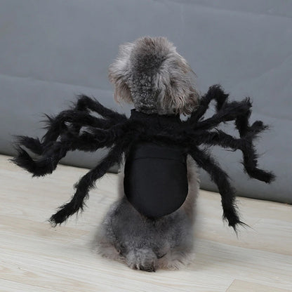 Festive Small Pet Spider Halloween Costume
