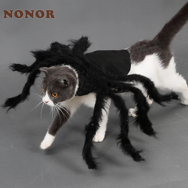Festive Small Pet Spider Halloween Costume
