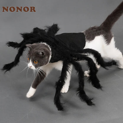 Festive Small Pet Spider Halloween Costume