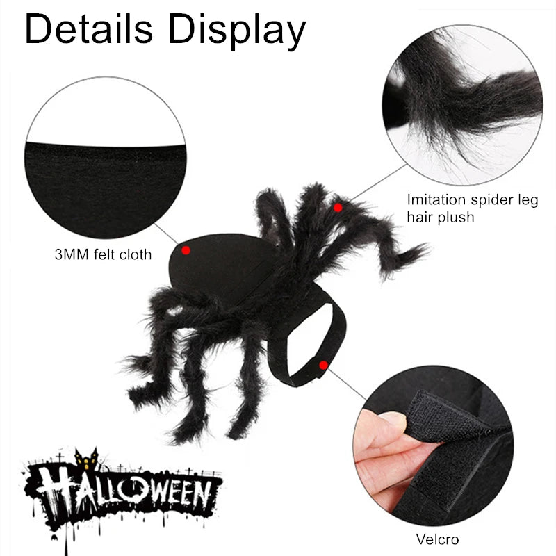 Festive Small Pet Spider Halloween Costume