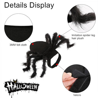 Festive Small Pet Spider Halloween Costume